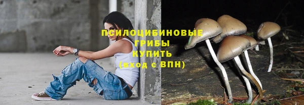 прущая мука Михайловск