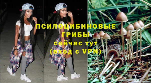 прущая мука Михайловск