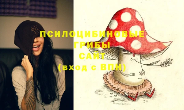 дживик Михайловка